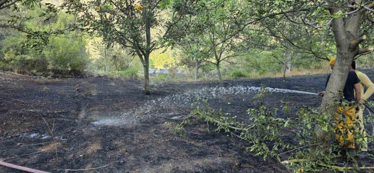 Bolu’da otluk alanda çıkan yangın ormana sıçramadan söndürüldü