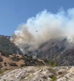 Buldan’da yangını söndürmek için bölgede bulunan dozer operatörü yaralanarak hastaneye kaldırıldı