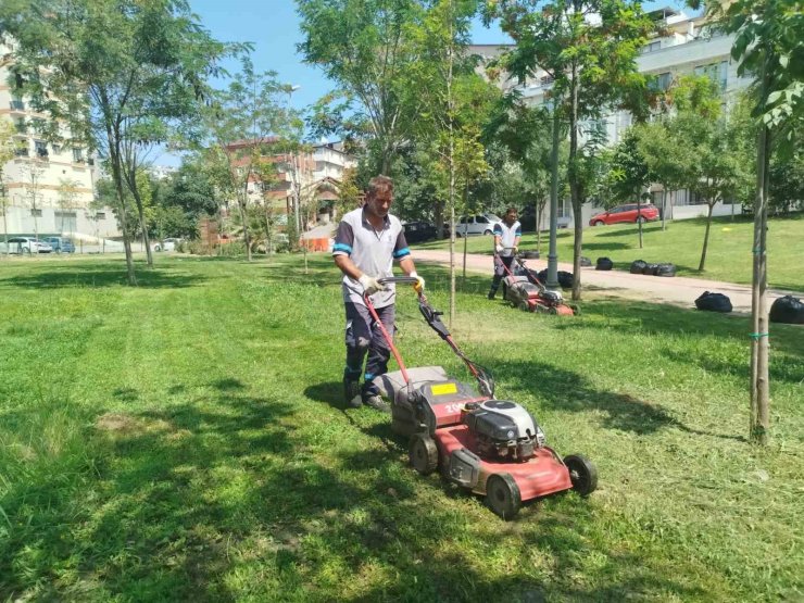 Gebze Tatlıkuyu Vadisi Kent Parkı’na düzenli bakım