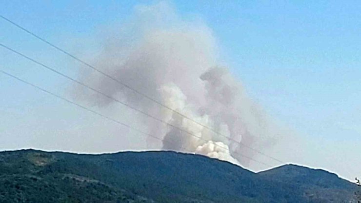 Karabük’te orman yangını çıktı