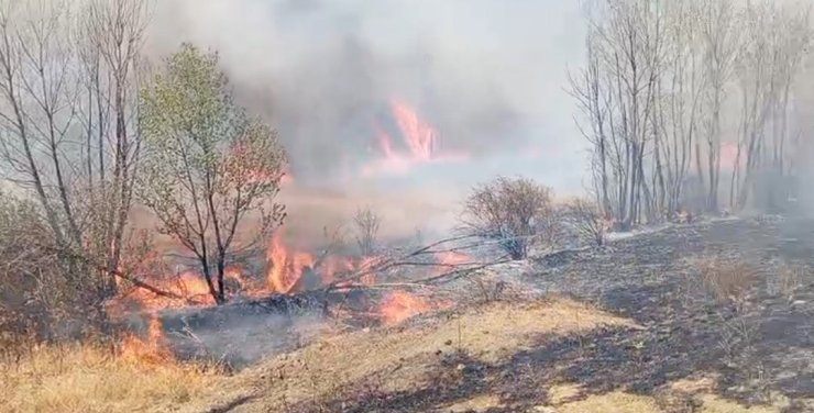 Yozgat’ta peş peşe çıkan yangınlar korkuttu