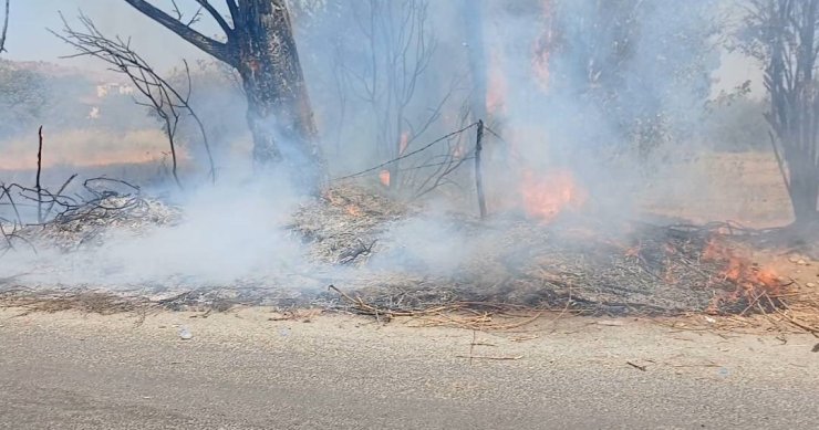 Efeler’deki yangına itfaiye ekiplerinden hızlı müdahale