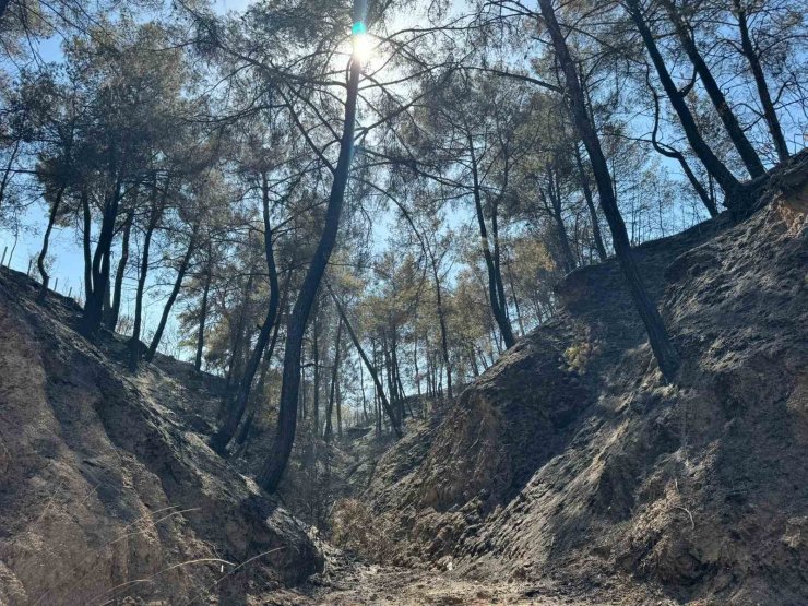 Evini yangından korumak için mücadele ederken kalp krizi geçirdi