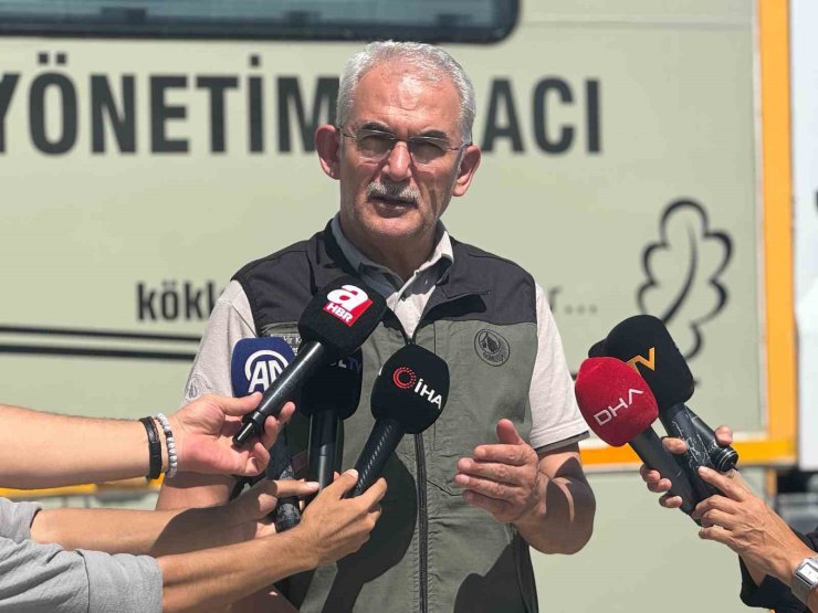 Orman Genel Müdürü Karacabey: "Yangın güney ve kuzey hatlarında yoğunlaşıyor"