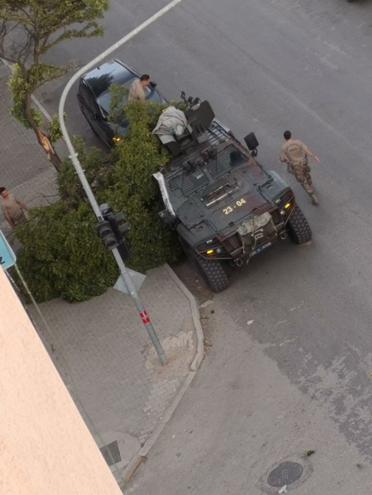 Kovancılarda ağaç dalları kırıldı