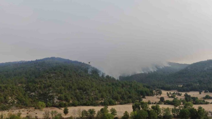 Kastamonu’daki orman yangınına müdahale böyle görüntülendi