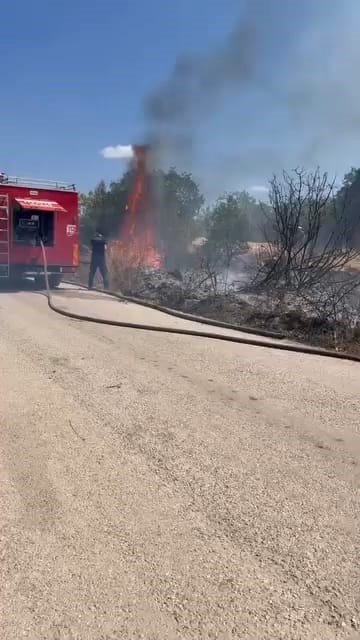 Çalılık alanda çıkan yangın korkuttu