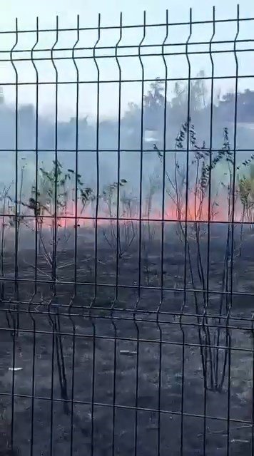 Ziraat meslek lisesinin bahçesi alevlere teslim oldu