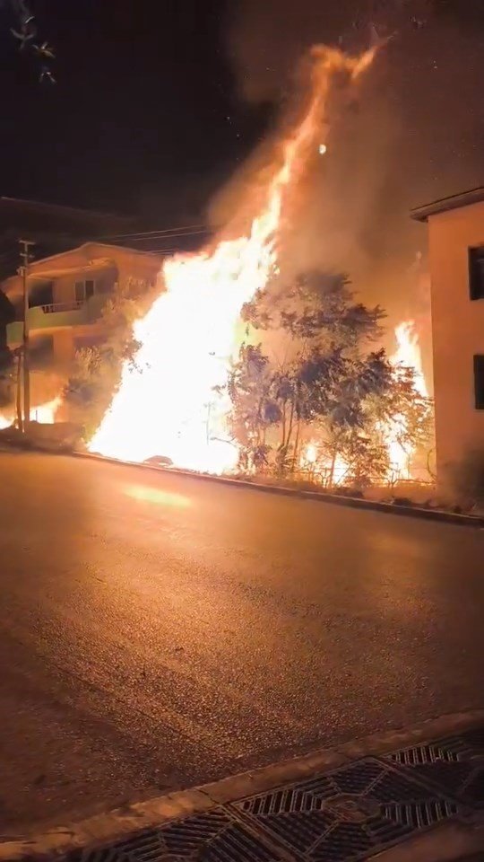 Bursa’da alev alan ağaçlar villaları böyle tehdit etti