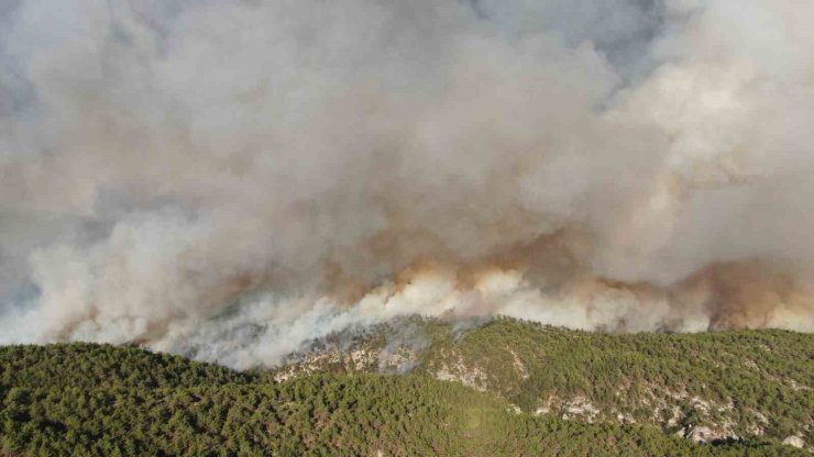 Kastamonu’daki orman yangınlarında 2 bin 736 hektar alan zarar gördü