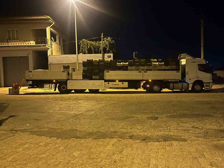 Kardeşköy’de bamya sezonu hız kesmiyor