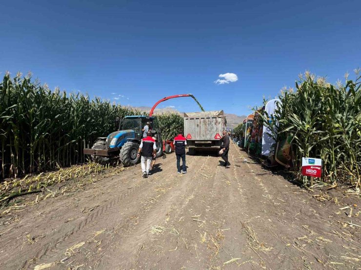 Erzincan’da silajlık mısırın hasadı sürüyor