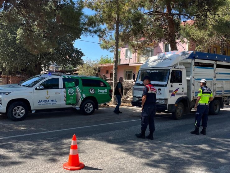 Uşak’ta canlı hayvan nakil araçlarına denetim