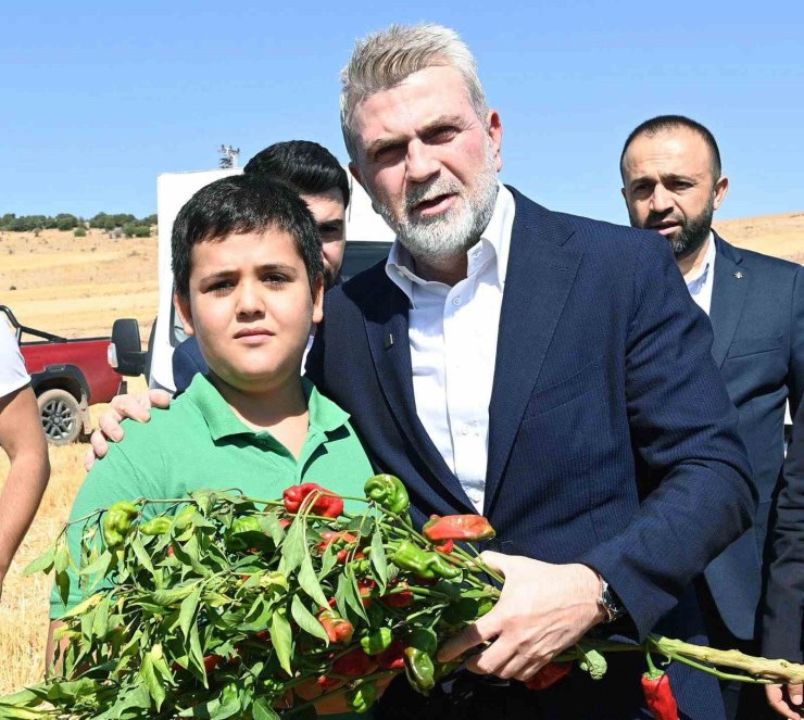 Başkan Görgel; "Coğrafi işaretli Maraş biberimizin üretimi 30 bin tona ulaştı"
