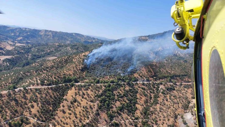 Aydın’daki zirai alan yangınına havadan ve karadan müdahale sürüyor