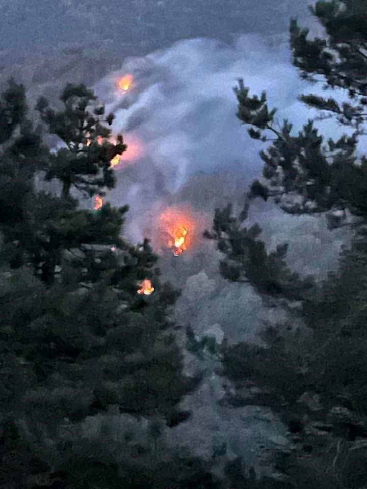 Sakarya’daki orman yangını kontrol altına alındı