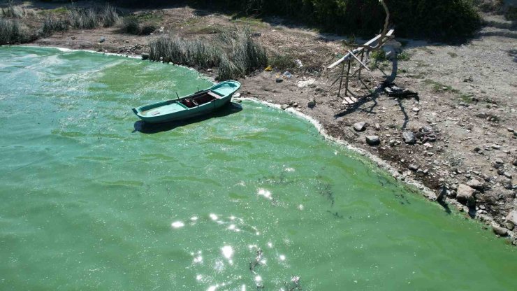 Terkos Gölü’nde endişelendiren görüntü