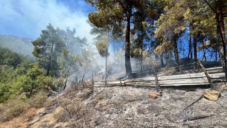 Adana’da orman yangını çıktı