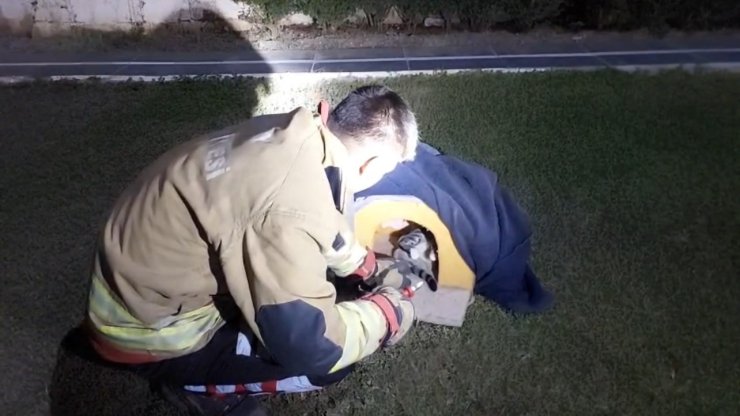 Balık misinasına dolanarak yaralanan kedinin imdadına itfaiye yetişti