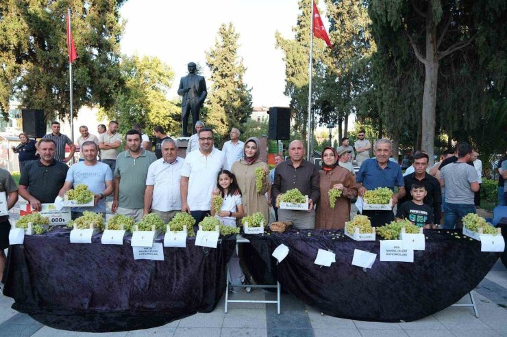 Sarıgöl’de Sultani üzüm yarışması