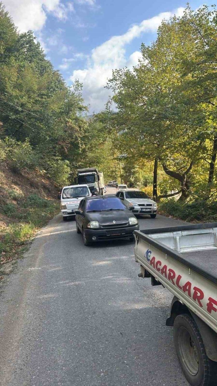 Alaplı’da yola devrilen ağaç, vatandaşlar tarafından kaldırıldı