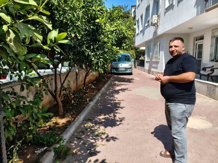 Antalya’da portakal koparma kavgası