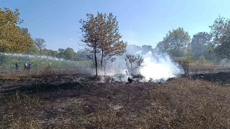 Bilecik Pazaryeri’nde arazi yangını çıktı