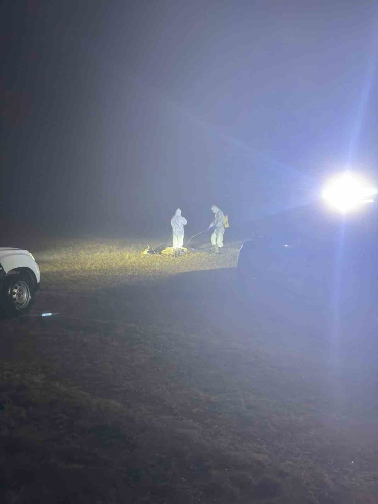 Gümüşhane’de şap hastalığı nedeniyle 5 köy karantinaya alındı