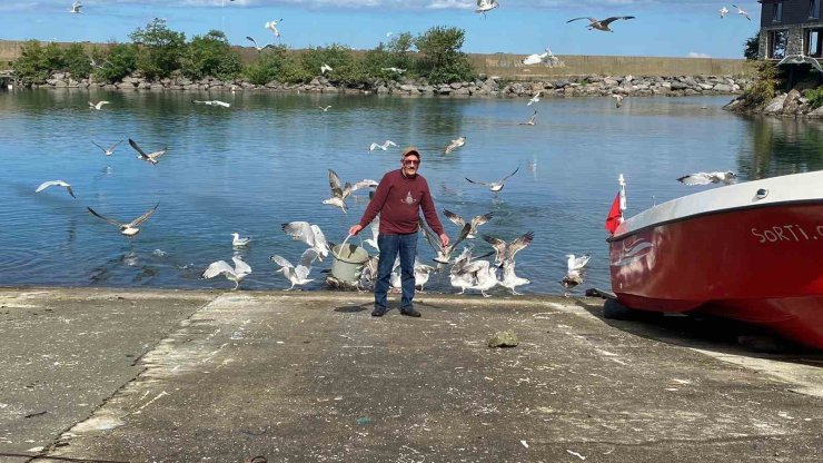Martılarla kurduğu bağ görenleri şaşırtıyor