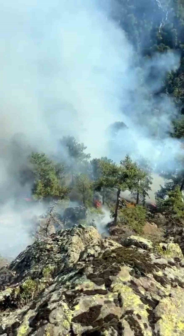 Köyceğiz Otmanlar yangını devam ediyor