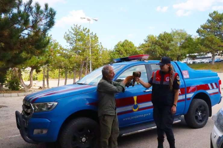 Yaralı Çakır kuşuna Jandarma ekiplerinin şefkatli eli uzandı