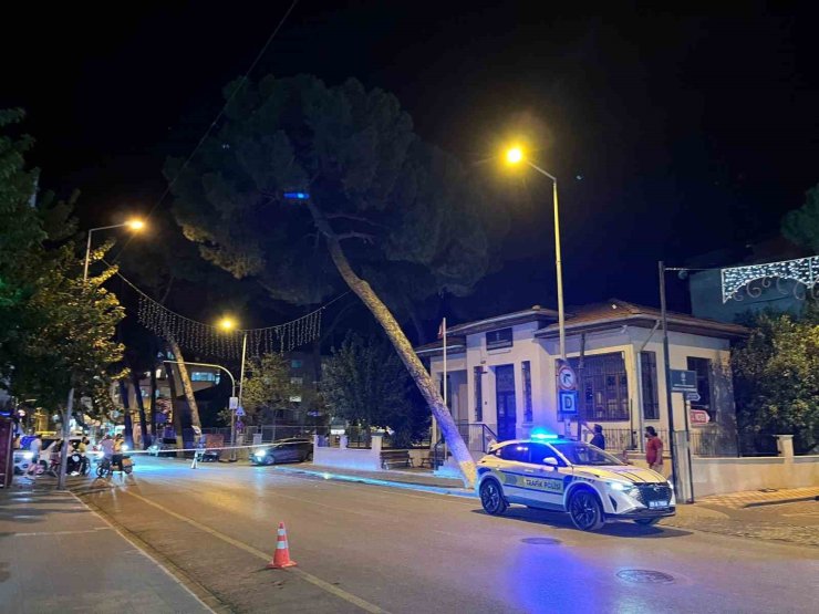 İncirliova’da kuvvetli rüzgar ağacı devirdi