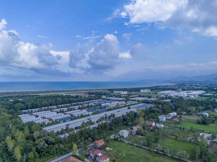 Samsun’a yeni fakülte: Yapay Zeka ve Veri Mühendisliği Bölümü Karadeniz’de ilk