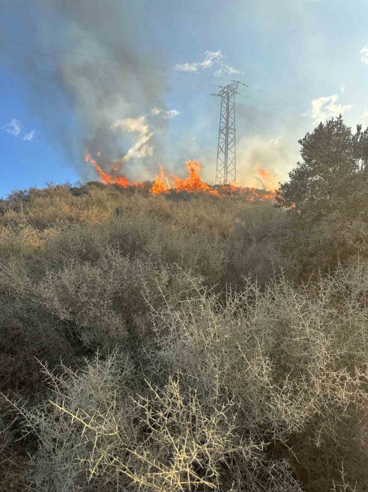 Samandağ’da arazi yangını
