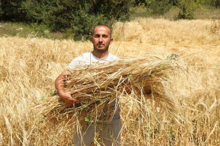 Megakenti bırakıp Ordu’da tarıma yöneldi: 200 dönüm atıl araziyi tarıma kazandırdı