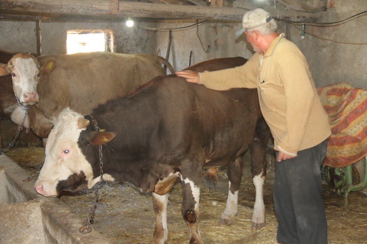 Emekli olan elektrik mühendisi huzuru köyde buldu