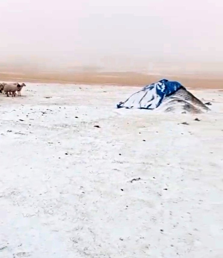 Diyadin’de Eylül’de yağan kar köyü beyaza bürüdü