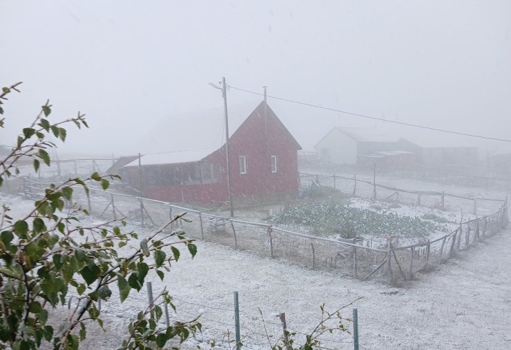 Doğu Karadeniz’in sahili ve iç kesimlerindeki şiddetli yağış yerini zirvelerde kara bıraktı
