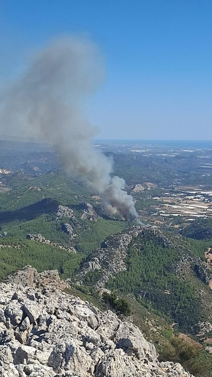 Serik’te ormanlık alanda yangın