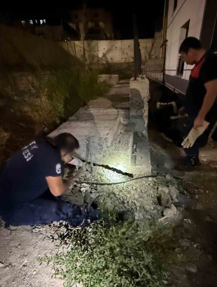 Antakya’da beton boru içinde sıkışan kedi kurtarıldı