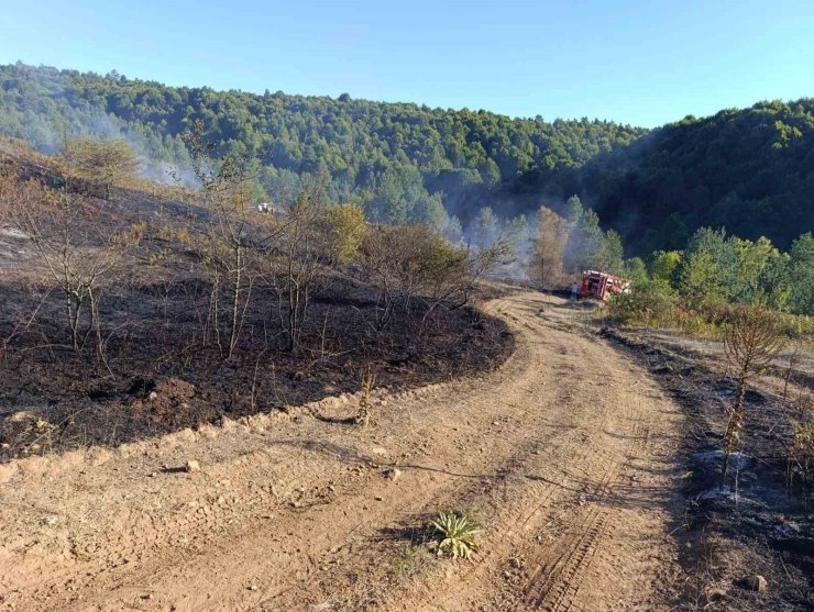 Pazaryeri Bozcaarmut’ta orman yangını