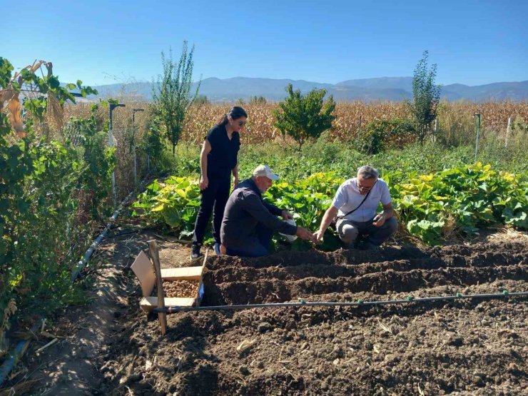 Tokat’ta salep üretimine başlanıldı