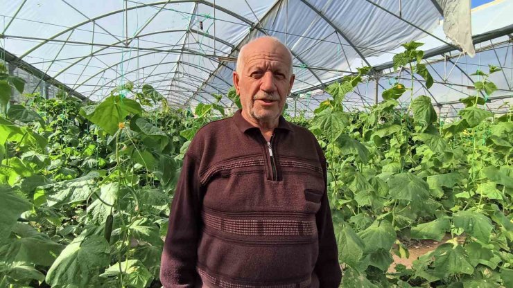 Doğu Anadolu’nun en büyük serasında üretim aralıksız sürüyor