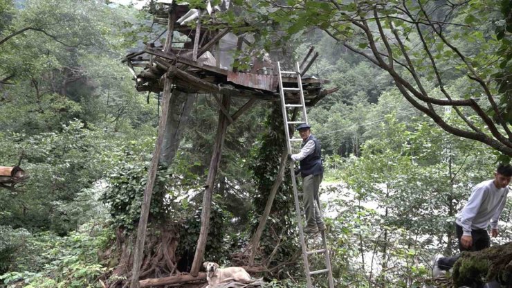Rize’de karakovan balı Anzer Balı’nı solladı
