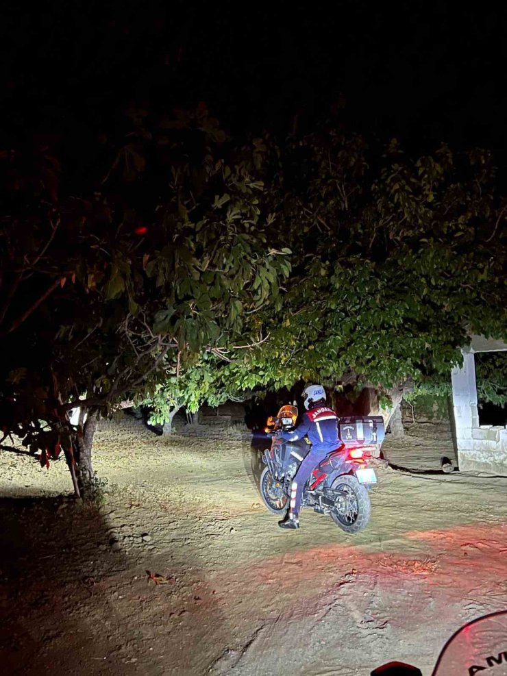 Germencik’te jandarma incir hırsızlıklarını önlemek için sahada