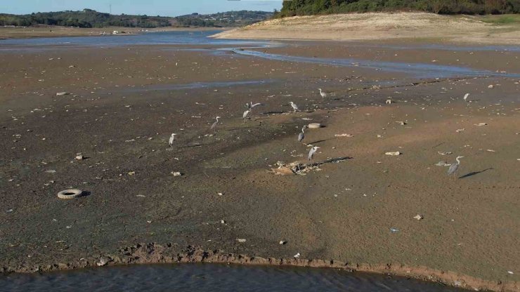 İstanbul’da barajlar alarm veriyor: Son 10 yılın en düşük su seviyesi