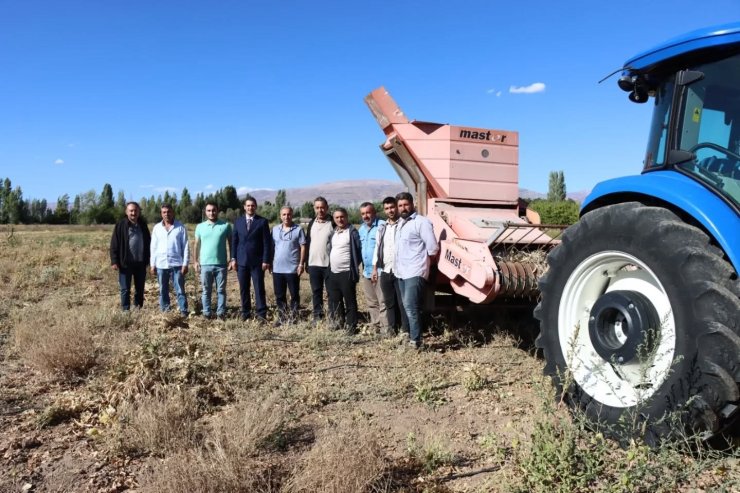 Erzincan’da kuru fasulye hasadı başladı