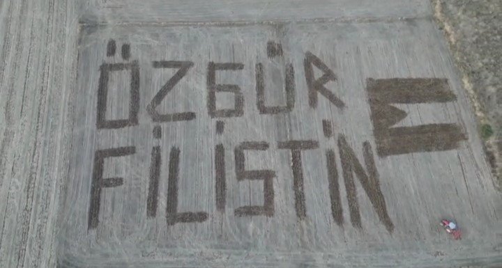Çanakkaleli çiftçi Filistin’e destek için tarlasına ’Özgür Filistin’ yazdı