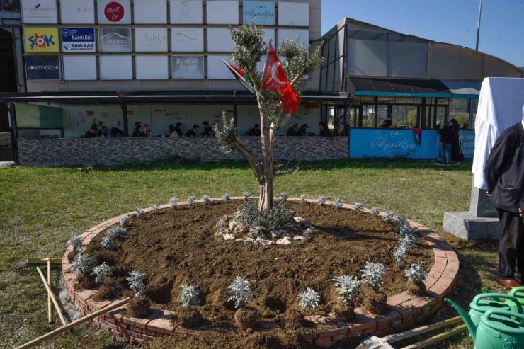 OMÜ’de Filistin için "zeytin ağacı anıtı" dikildi