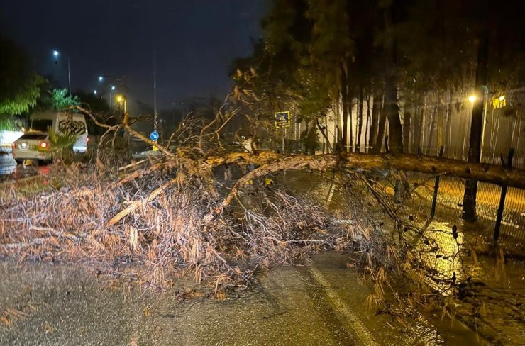 Alanya Belediyesi olumsuz hava şartlarına karşı teyakkuzda
